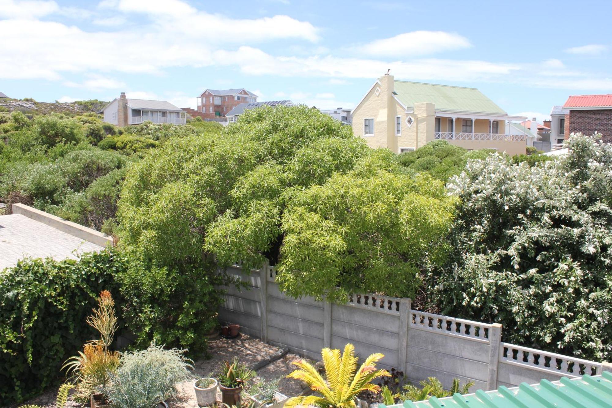 The Sun Catcher Bed & Breakfast Struisbaai Oda fotoğraf